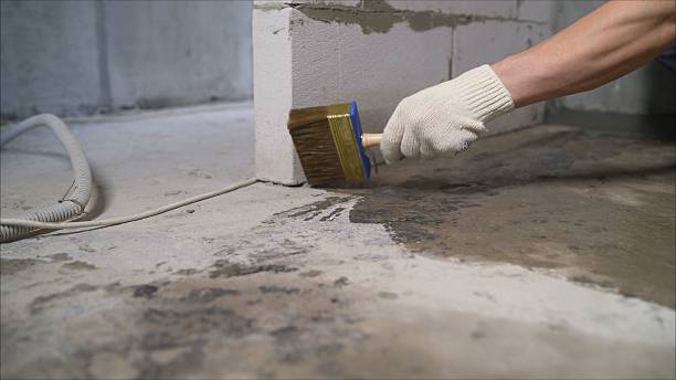 Trusted Waterproofing service in Clearwater, SC - SGP Waterproofing